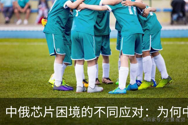 中俄芯片困境的不同应对：为何中国更加焦虑？