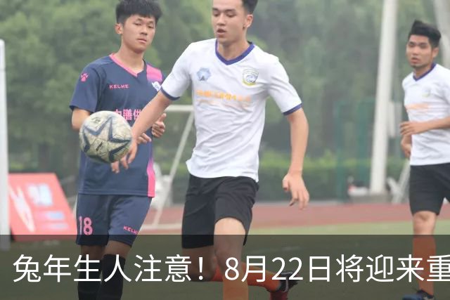 兔年生人注意！8月22日将迎来重要机会